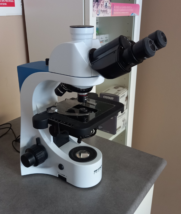 Microscopio
